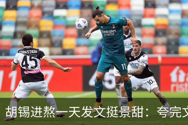 胡锡进熬一天发文挺景甜：夸完文笔再捅一刀，说"给中国男人丢脸"